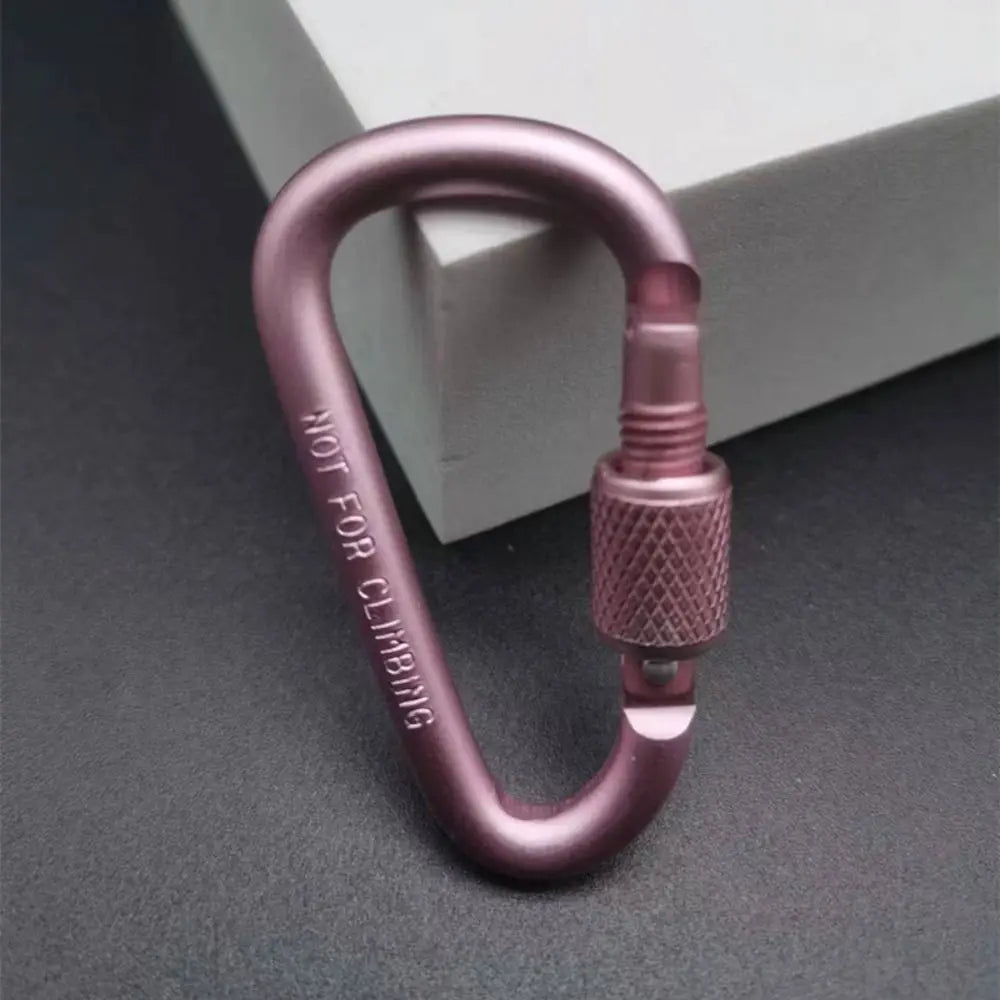 Aluminum Alloy D-Shaped Carabiner Keychain with Lock
